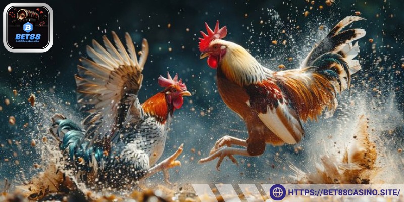 Ưu điểm nổi bật với cựa sắt được chế tác tinh xảo, sắc nét