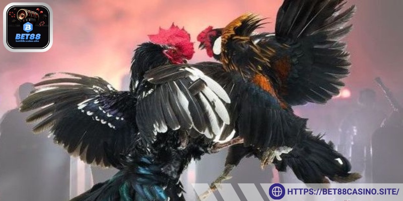 Tham gia giúp hội viên tiết kiệm chi phí