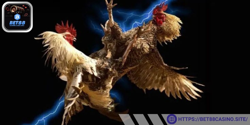 Ưu điểm với sự tiện lợi và linh hoạt