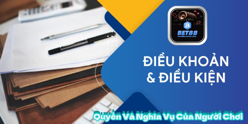 Quyền Và Nghĩa Vụ Của Người Chơi