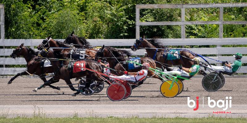 Bet Types Pools And How Odds Are Formed