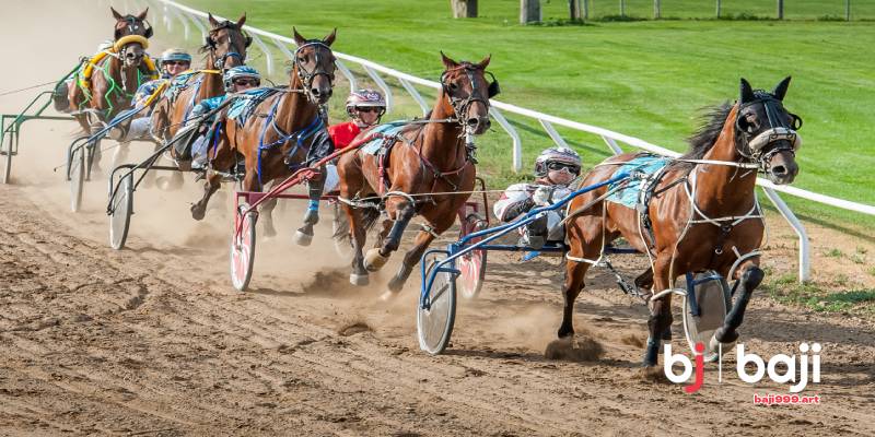 Race Starts Positions And Common Trip Patterns