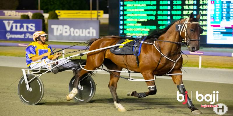 Settlement Rules Inquiries And Integrity Controls