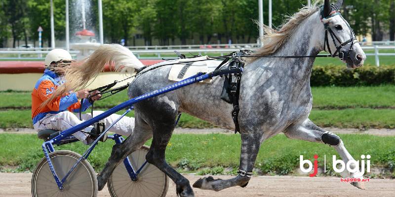 What Defines Harness Racing Compared With Flat Racing